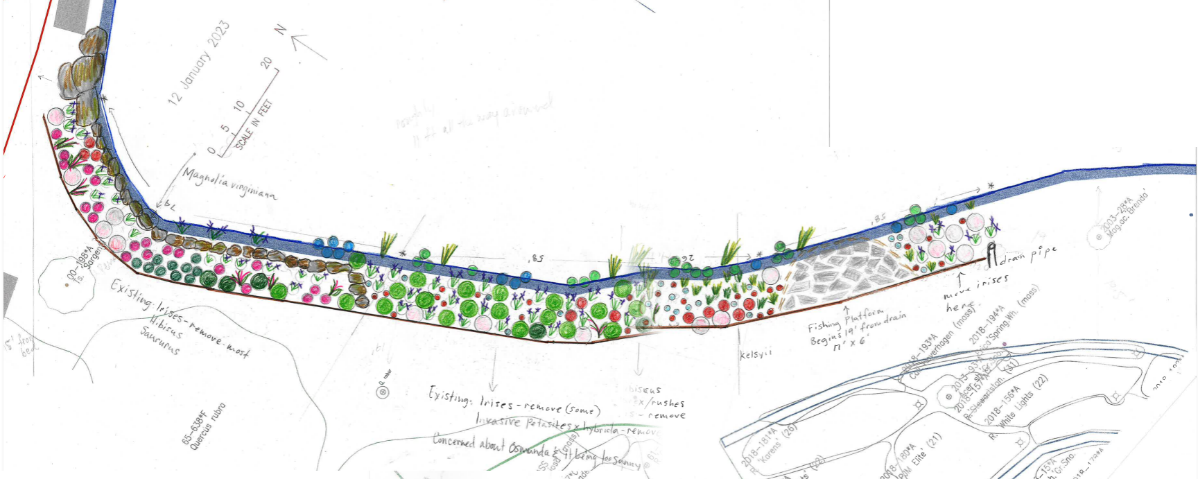 Logsdon Pond West planting design, full pond edge